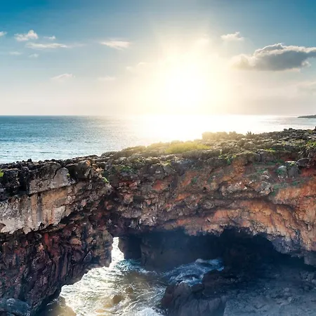 Marinha Garden |
